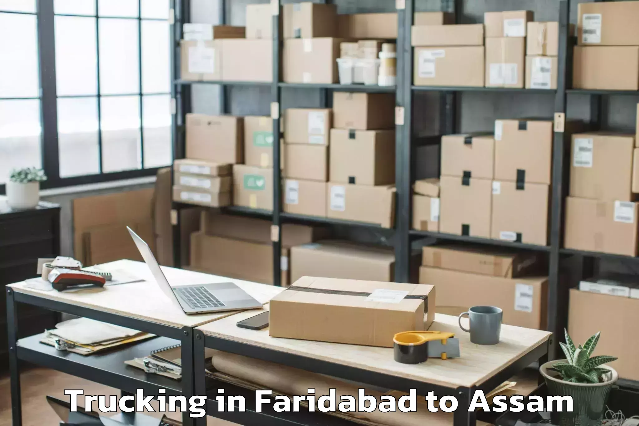 Leading Faridabad to Moranhat Trucking Provider